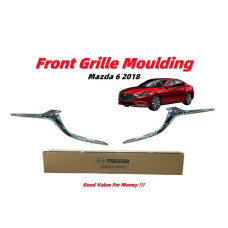 Front Grille Moulding